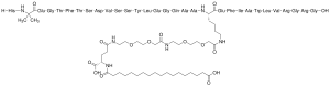 Semaglutide 1